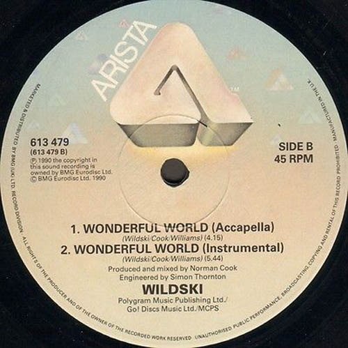 WILDSKI - Wonderful World
