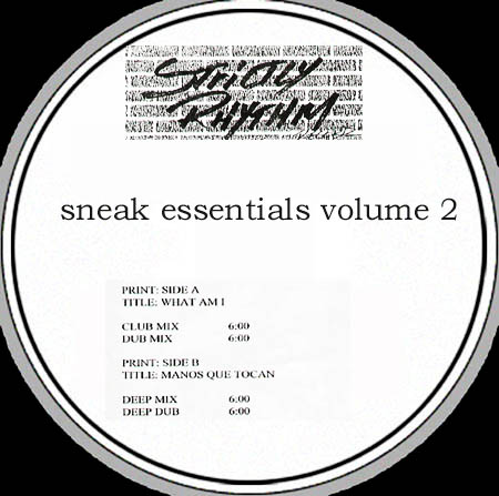DJ SNEAK - Sneak Essentials Volume 2