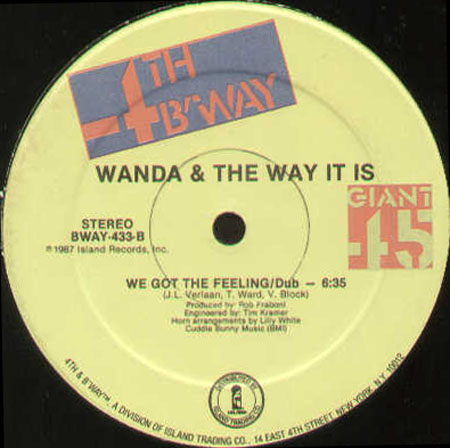 WANDA & THE WAY IT IS - We Got The Feeling 