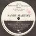 SANDY MARTON - White Storm In The Jungle (Remix)
