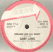 GABY LANG - Shame ('88 Mix) / Dreams Are All Night