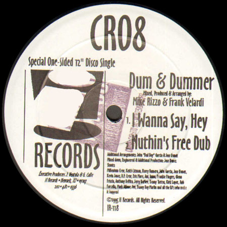 DUM & DUMMER - I Wanna Say, Hey