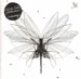 CLARA HILL'S FOLKWAVES - Sideways