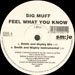 BIG MUFF - Feel What You Know (Smith & Mighty Rmx)