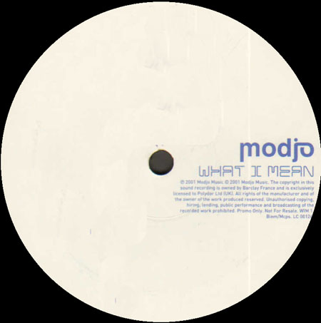 MODJO - What I Mean (Ian Pooley Rmxs) - Only Side C/D