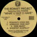 THE ROMATT PROJECT - What U Got 2 Have, Feat. Gail Powers