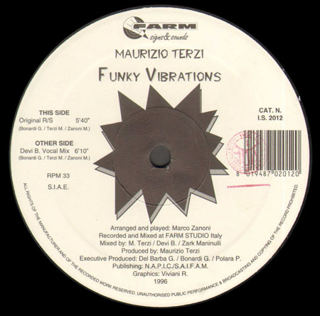 MAURIZIO TERZI - Funky Vibrations