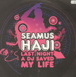 SEAMUS HAJI  - Last Night A DJ Saved My Life
