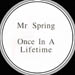 MR SPRING - Once In A Lifetime