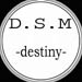 DSM - Destiny Remix!