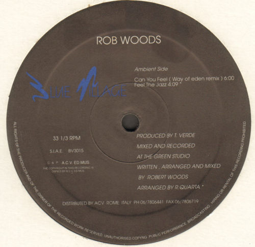 ROB WOODS - Can You Feel
