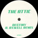 THE ATTIC - Destiny (Axwell Rmxs) 