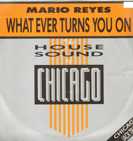 MARIO REYES - What Ever Turns You On