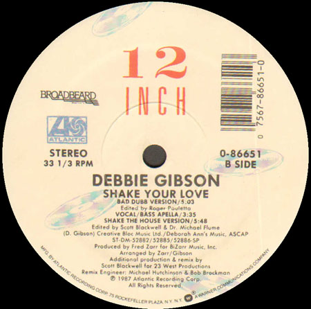 DEBBIE GIBSON - Shake Your Love