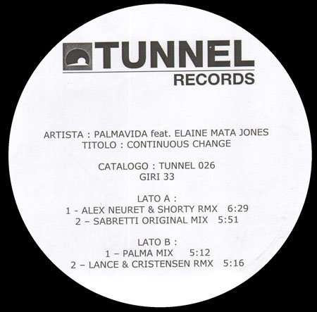 PALMAVIDA, FEAT. ELAINE MATA JONES - Continuous Change