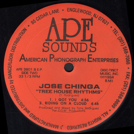 JOSE CHINGA - Tree House Rhythms