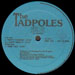 THE TADPOLES - Here I Go