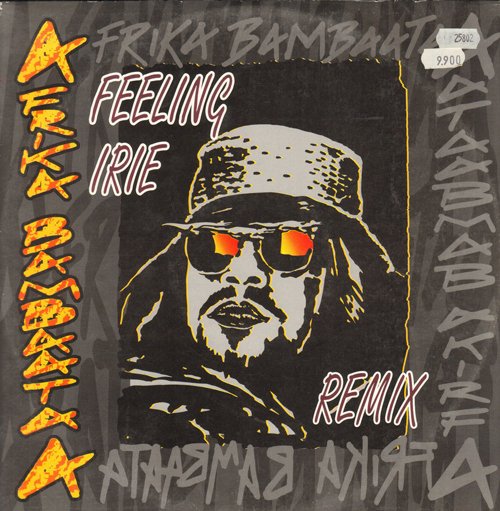 AFRIKA BAMBAATAA - Feeling Irie (Remix)