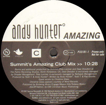 ANDY HUNTER - Amazing (Brother Brown Rmxs)