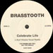 BRASSTOOTH - Celebrate Life (Kurt Howes  Rmx)