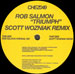 ROB SALMON - Triumph (Original, Scott Wozniak Rmx)  