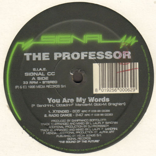 THE PROFESSOR - You Are My Words