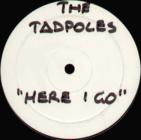 THE TADPOLES - Here I Go