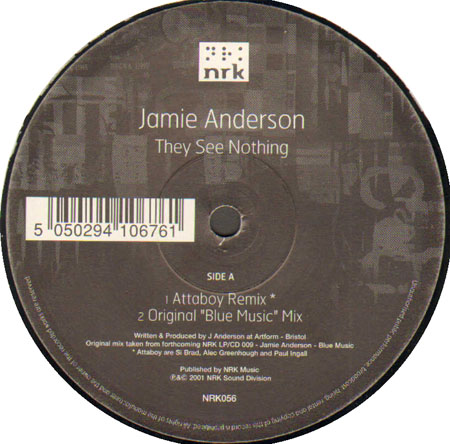 JAMIE ANDERSON                 - They See Nothing (Original, Attaboy, Tony Hewitt  Rmxs)