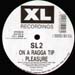 SL2 - On A Ragga Tip