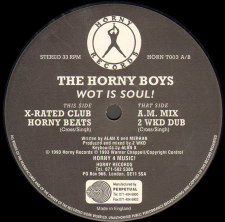 THE HORNY BOYS - Wot is Soul! 
