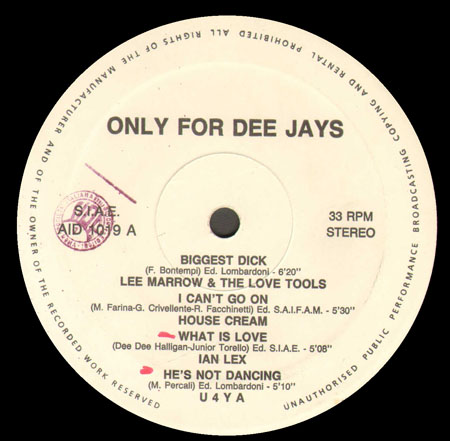 VARIOUS (LEE MARROW / HOUSECREAM / U-4-YA / DIEGO DONATI / HERA /  SPIRIT) - Special For Dee Jays 19 (Biggest Dick / I Can't Go On / What Is Love  / He's Not Dancing / Hypnotic Sistem / I'll Fly For You / Shake Your Body)