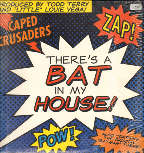 CAPED CRUSADERS - There's A Bat In My House!