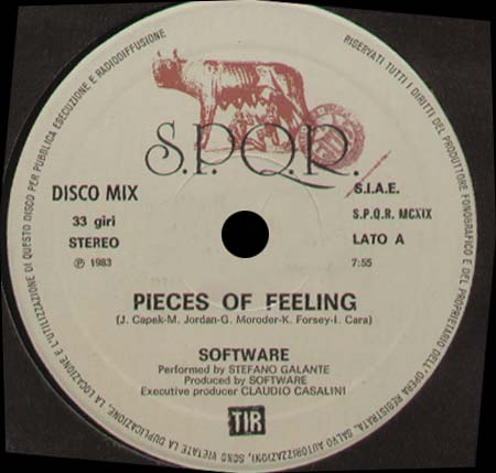 SOFTWARE - Pieces Of Feeling
