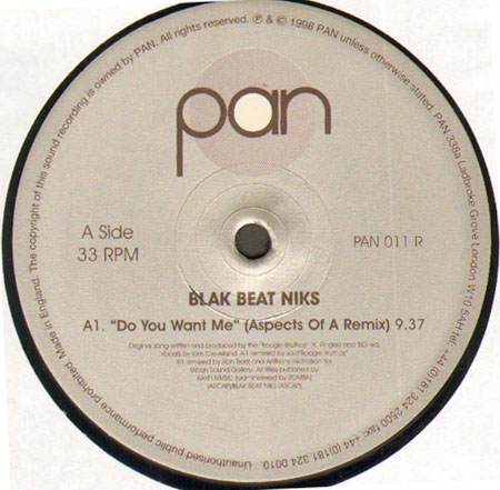 BLAK BEAT NIKS - Do You Want Me (Ron Trent & Anthony Nicholson Rmx)