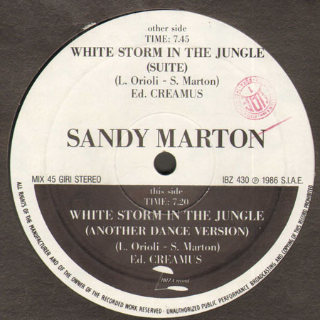 SANDY MARTON - White Storm In The Jungle (Remix)