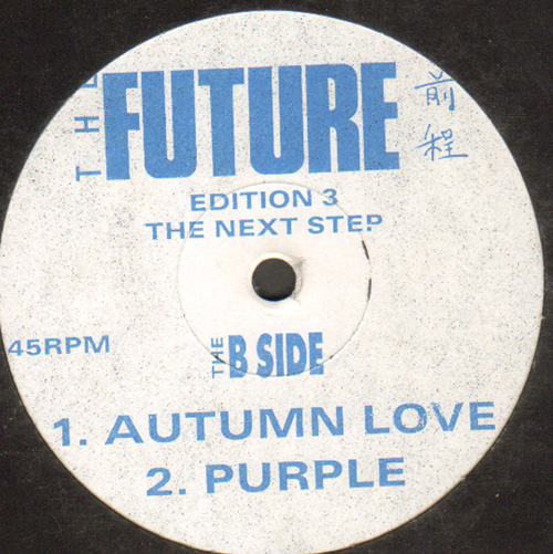 ELECTRA - Autumn Love / Purple