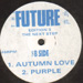 ELECTRA - Autumn Love / Purple