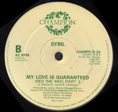 SYBIL - My Love Is Guaranteed Remix