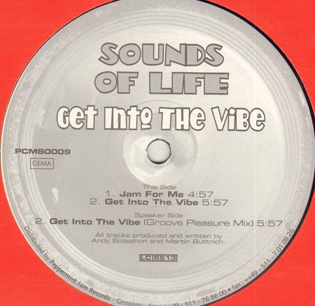 SOUNDS OF LIFE - Get Into The Vibe