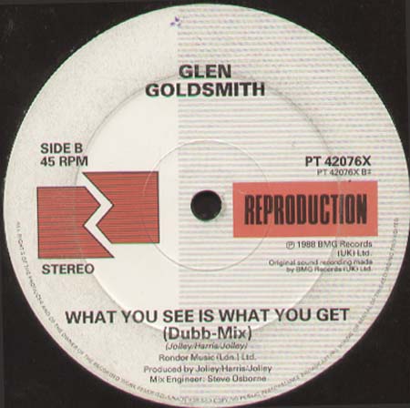 GLEN GOLDSMITH - What You See Is What You Get (Remix)