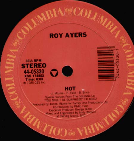 ROY AYERS - Hot