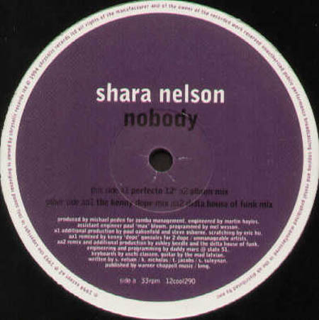 PERFECTO/KENNY DOPE MIX - P7000A NOBODY Vinyl Record 12. SHARA NESLON 