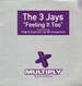 THE 3 JAYS - Feeling It Too (Original, Phats & Small, Lisa Marie Experience Rmxs)