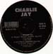 CHARLIE JAY - Rhythm Is A Mystery (Remix)