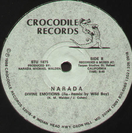 NARADA MICHAEL WALDEN   - Divine Emotion, Jam The Night (Wild Boys Rmxs) 