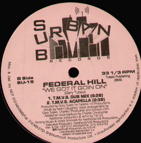 FEDERAL HILL - We Got It Goin On (T.Musto & V.Simonelli rmxs)