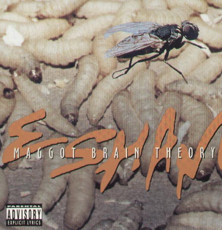 ESHAM - Maggot Brain Theory