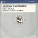 JEREMY SYLVESTER - Got Soul