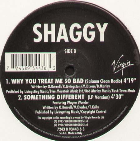 SHAGGY - Something Different