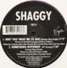 SHAGGY - Something Different